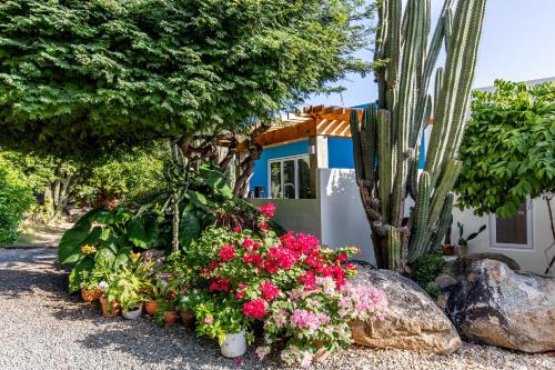 Paradera Cabin | Naïma Luxury Home, Cottage & Apartment Rentals