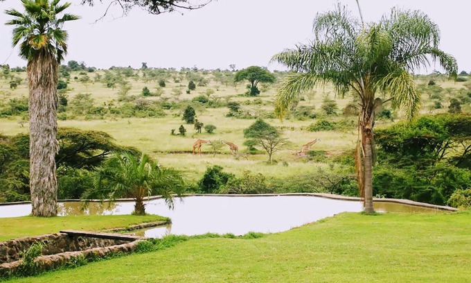 Nairobi Apartment | Nairobi National Park - Kampi ya Karin