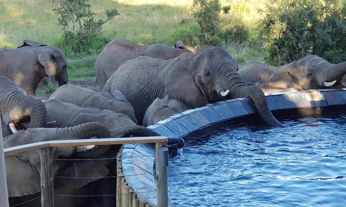 Ladysmith Cabin | Nambiti Plains Lodge