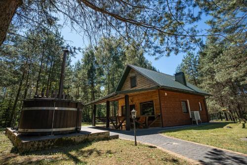 Alytus county House | Namelis su pirtele