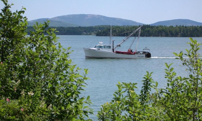Trenton Resort | Narrows Too Camping Resort Cabin 6