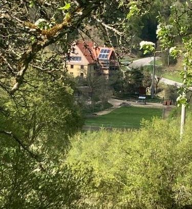 Immendingen Apartment | Natur Idylle mit Tieren in der Dachsmühle zwischen Bodensee und Schwarzwald
