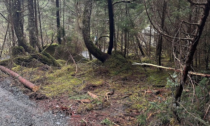 Bear Creek RV Rental | Natural scenic campground in Seward