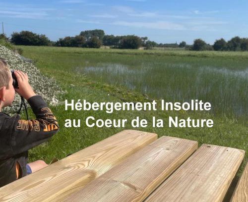 Quend Other | Nature en Somme