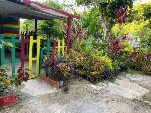 Port Antonio Apartment | Nature in portland Eco Villas