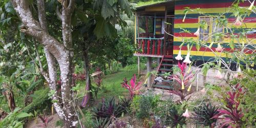 Port Antonio House | Nature in Portland