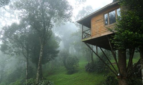 Munnar Resort | Nature Zone Jungle Resort