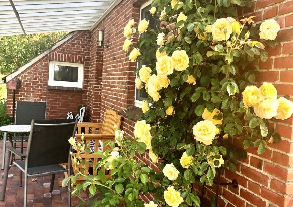 Schirum Apartment | Naturparadies in Aurich