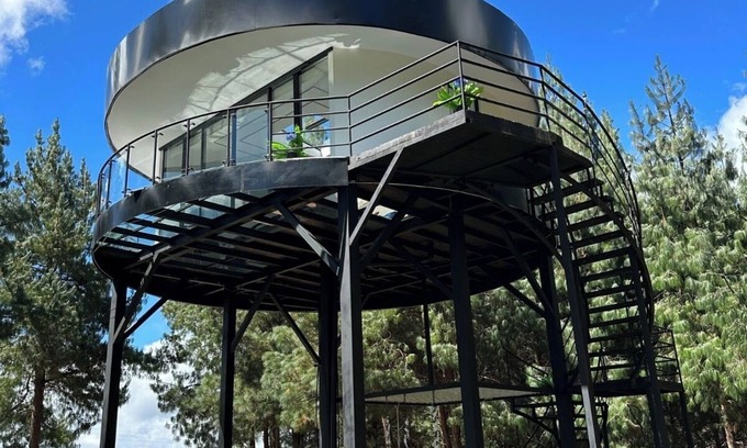 Saraguro House | Nave Espacial en Medio de un Bosque de Pino