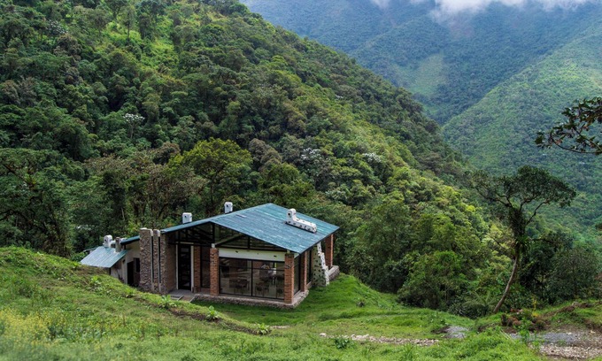 Tulipe Bed & Breakfast | Neblina Bird