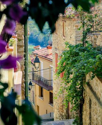 Amelie-les-Bains-Palalda Apartment | Neptune T2 Meublé de tourisme 3 étoiles