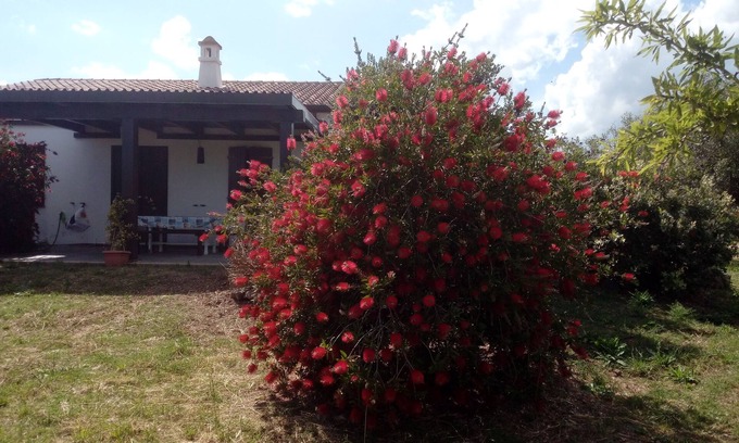 Orosei House | Nerelie House S big garden for playing, wi-fi free!IUN-P2044