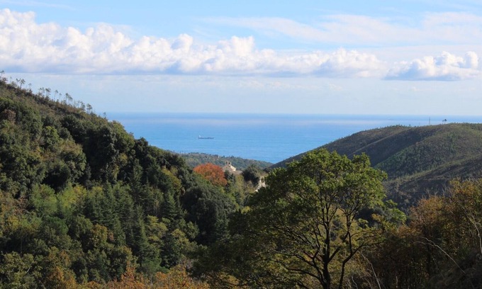 Varazze House | Nestled in a centuries-old forest on the first hill 15 minutes from the sea