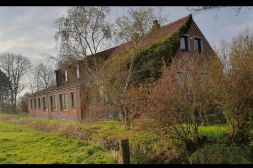 Jaderaltendeich Apartment | NEU! FeWo Deichblick OG am Jadebusen/Nordseeküste