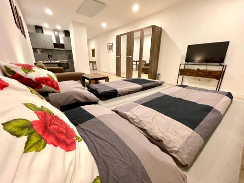 Pforzheim Apartment | NEU Große Einzimmerwohnung im Zentrum Goldstadt Pforzheim Schlössle