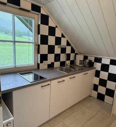 Ramsau am Dachstein Apartment | Neues Boutique Studio - Apartment mit Bergblick und Balkon in Ramsau - Sommercard inklusive