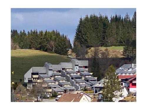 Furtwangen Boat Rental | Neukirch Southern Black Forest