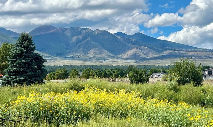 Flagstaff Cottage | New Build! 🌻 Sunflower Cottage🌻 Perfect Summer Getaway! On 2 Acres!