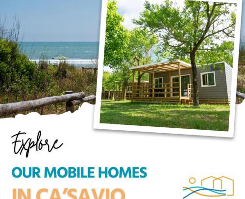 Cavallino-Treporti Other | New Campsite in Camping Ca' Savio