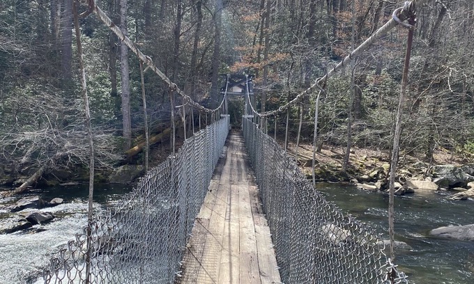 Robbinsville House | NEW Close to the dragon, Cheoah River, and Joyce Kilmer!