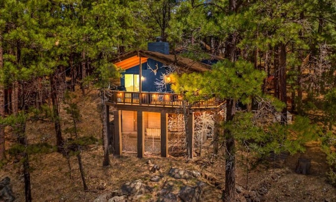 Munds Park Cabin | NEW! Cozy Mountain Escape in the Tall Pines.