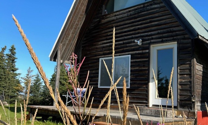 Kenai Cabin | "NEW" Kenai Beachfront Cabin 1 - In the middle of river fishing on the beach.