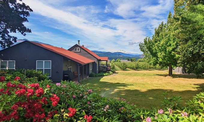 Hood River House | New listing, 4 bed 2.5 bath, amazing view of Mt Adams minutes from Downtown