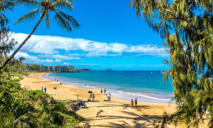 Kihei Condo | New Listing! Welcome to Hale Mahialani #3! Cozy Surf Shack in South Kihei