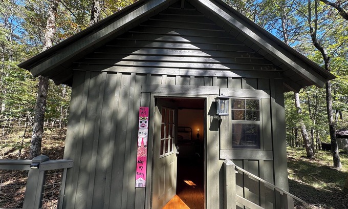 Fort Payne House | *NEW* Logged Inn! 3mi to DeSoto State Park