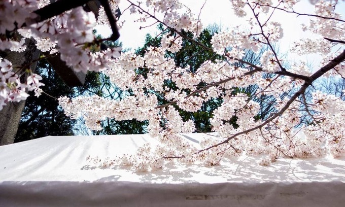 Ueno Apartment | New/Luxury#5mins to Station#Max8ppl#Free WIFI#