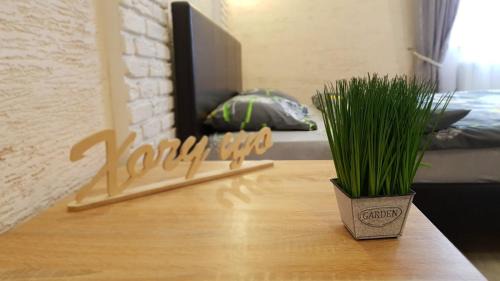 Kosuv Stary Apartment | NEW Luxury Studio Apartment