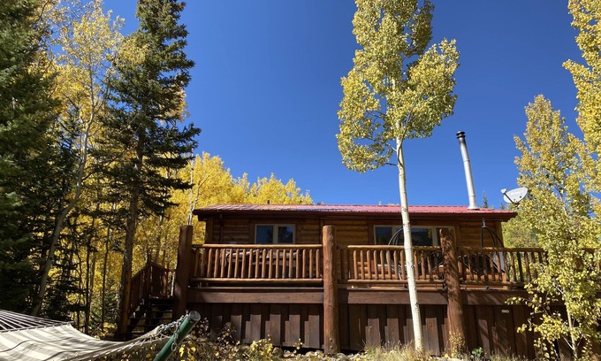 Alma Cabin | New! Pet Friendly 2BR/2Bath w/Hot Tub, fenced area for pets - Black Bear