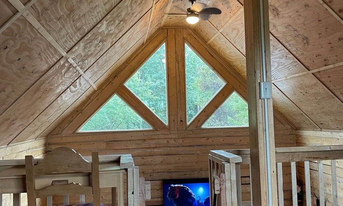 Healy Cabin | New Private Cabin Near Denali National Park