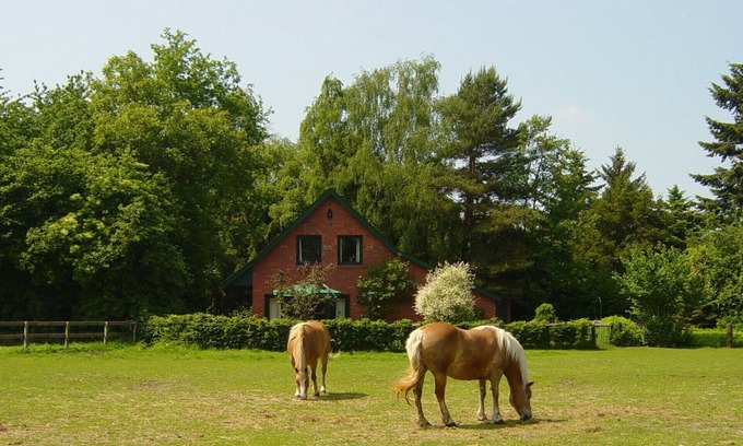 Lindern House | Newly furnished, cozy, four-star vacation home with (private) horse usage