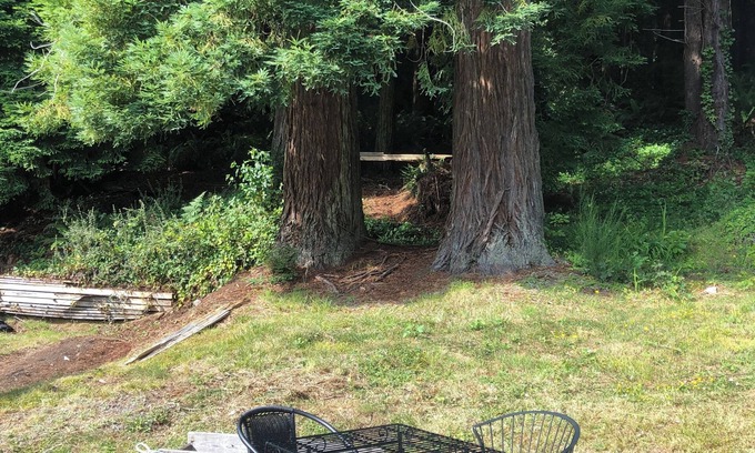 Trinidad House | Newly listed home tucked in the redwoods.