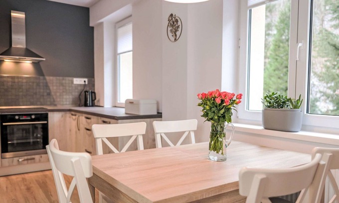 Jachymov Apartment | Nice apartment for 5 guests with WIFI, TV and panoramic view