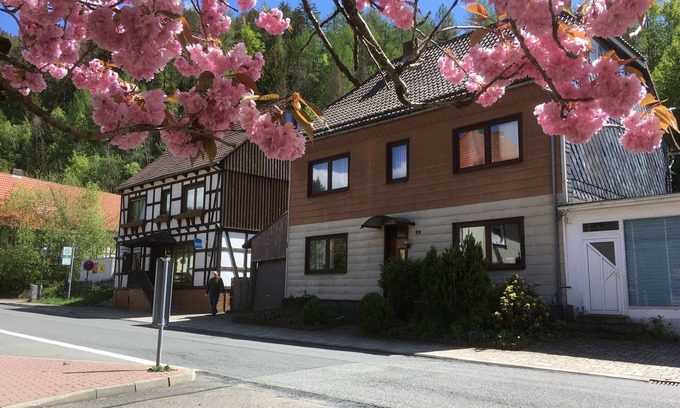Walkenried Apartment | Nice apartment in own house