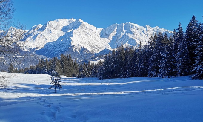 Le Bettex Apartment | Nid Douillet Face au Mont Blanc, Emplacement Idéal été/Hiver
