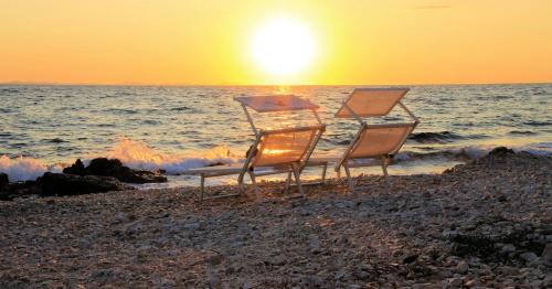 Petrcane Apartment | Nikola Luxury Apartments Senia