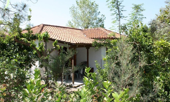Kakovatos House | Nikos 5
