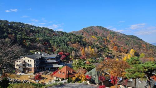 Boeun Resort | Nine Valley Park