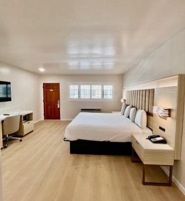 Polk Gulch Hotel | Nob Hill Motor Inn -Newly Updated Rooms!