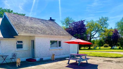 Duncannon House | Nolans organic farm