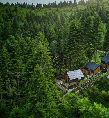 Sinaia House | Norway Cabins