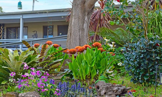 Tuross Head House | Nunyara @ Tuross Head