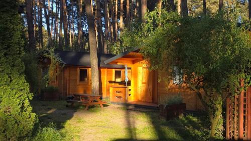 Sierakow Resort | Ośrodek Eldorado - domki letniskowe