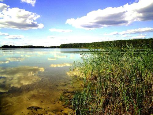 gmina Siedlec Resort | OŚRODEK WYPOCZYNKOWY OAZA