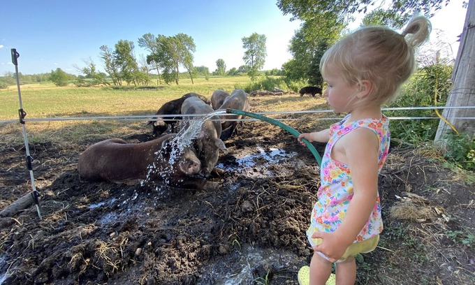 Stearns County House | O'Halloran House-Feathered Acres Learning Farm & Inn