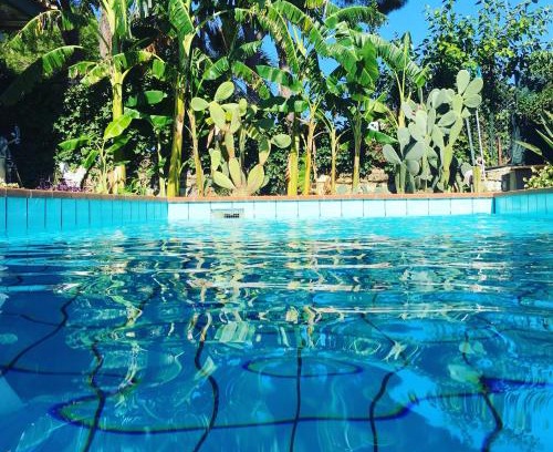 Carrozziere Bed & Breakfast | Oasi Del Gabbiano