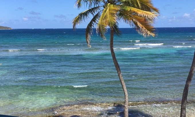 Bolongo Bay Condo | Ocean Front Picturesque St. Thomas 2Br/2Ba Condo at Bolongo Beach